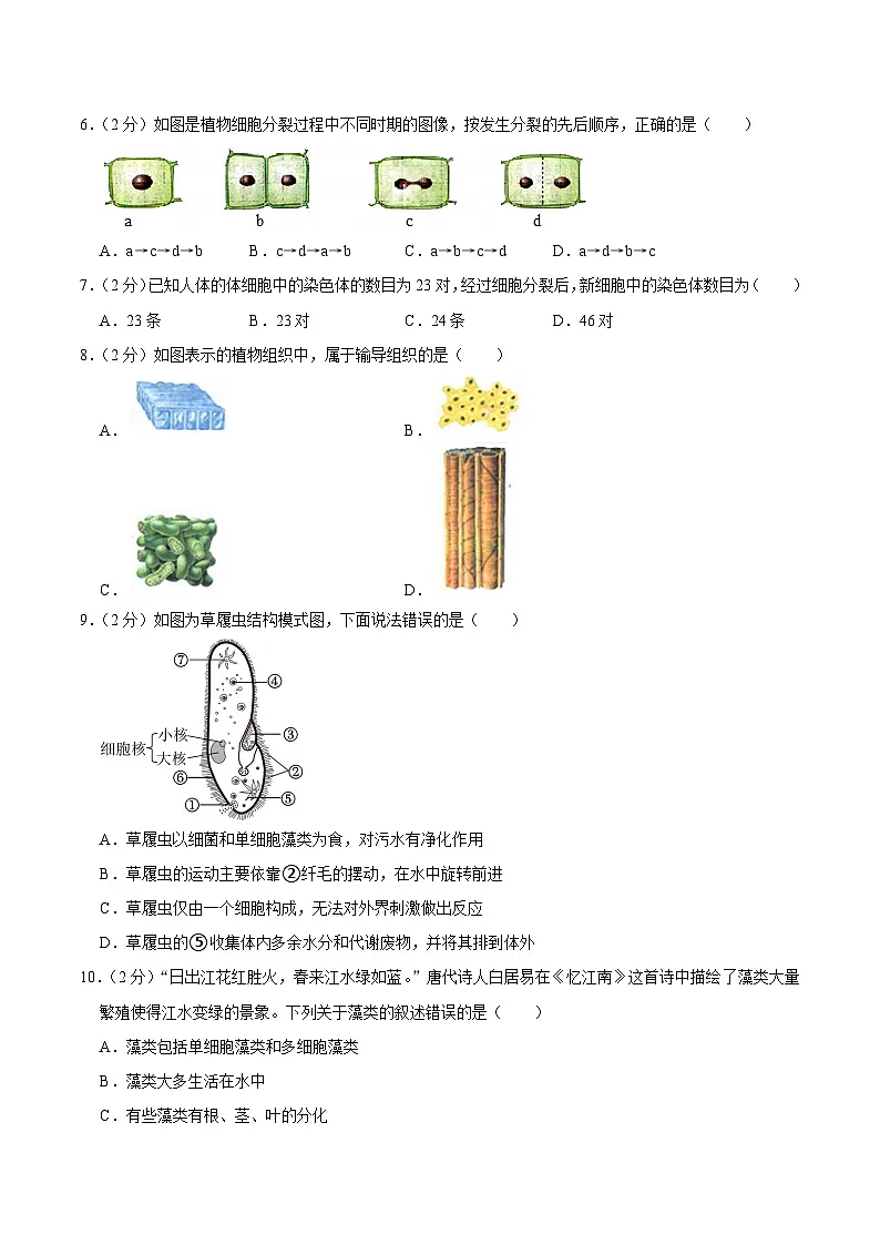【7生（SJ）期末】合肥市蜀山区2024-2025学年七年级上学期期末生物试卷第2页