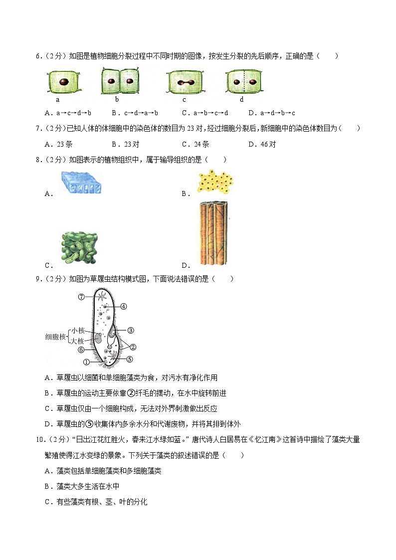 【7生（SJ）期末】合肥市蜀山区2024-2025学年七年级上学期期末生物试卷第2页