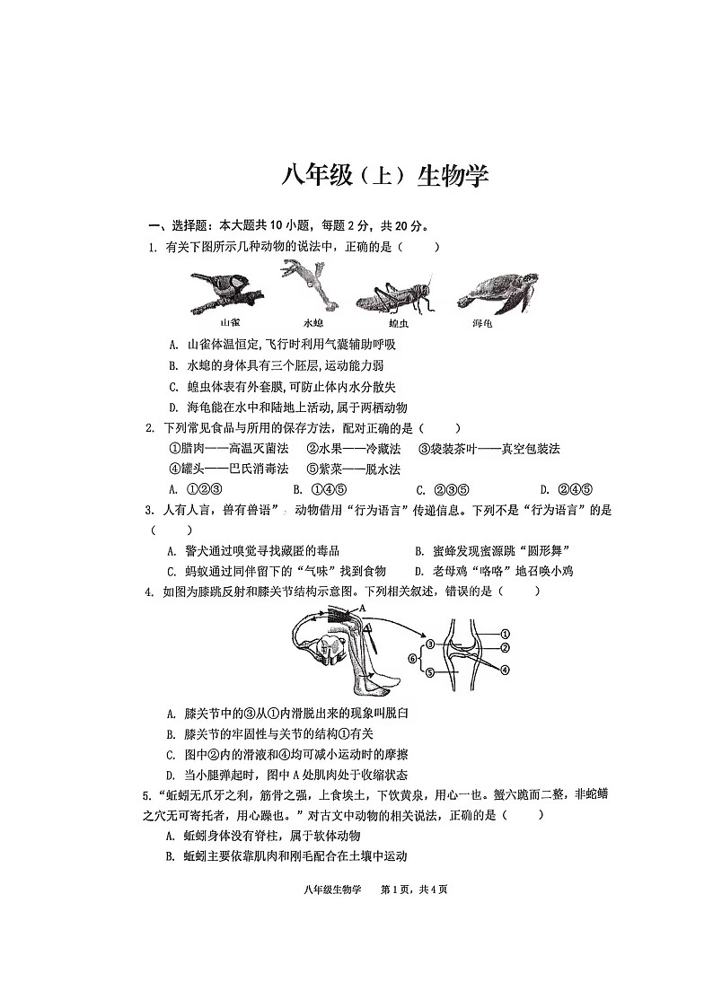 【8生（RJ）期末】池州市贵池区2024-2025学年八年级上学期期未检测生物试卷第1页