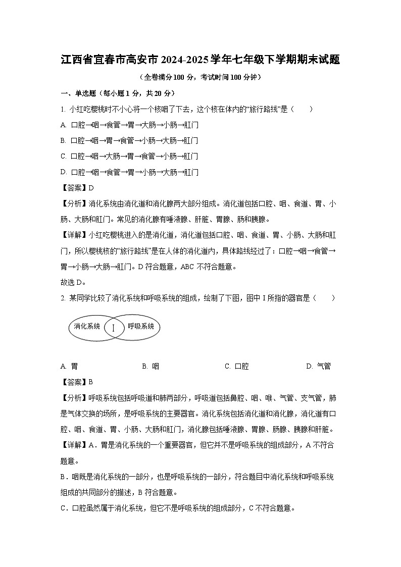 江西省宜春市高安市2024-2025学年七年级下学期期末生物试卷（解析版）第1页