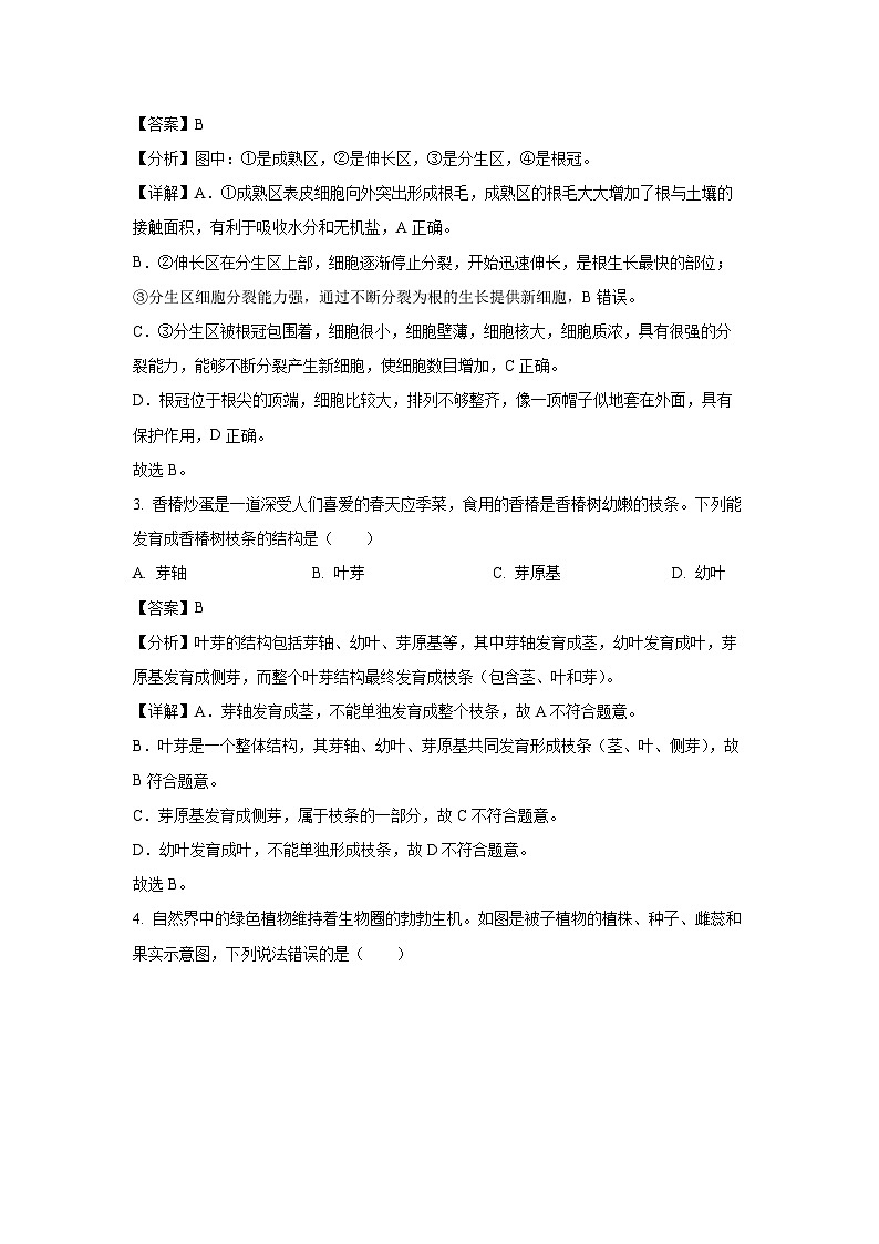 湖南省岳阳市岳阳楼区2024-2025学年七年级下学期期末生物试卷（解析版）第2页
