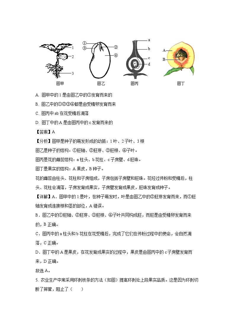 湖南省岳阳市岳阳楼区2024-2025学年七年级下学期期末生物试卷（解析版）第3页
