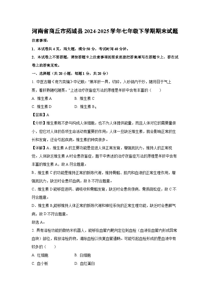 河南省商丘市拓城县2024-2025学年七年级下学期期末生物试卷（解析版）第1页
