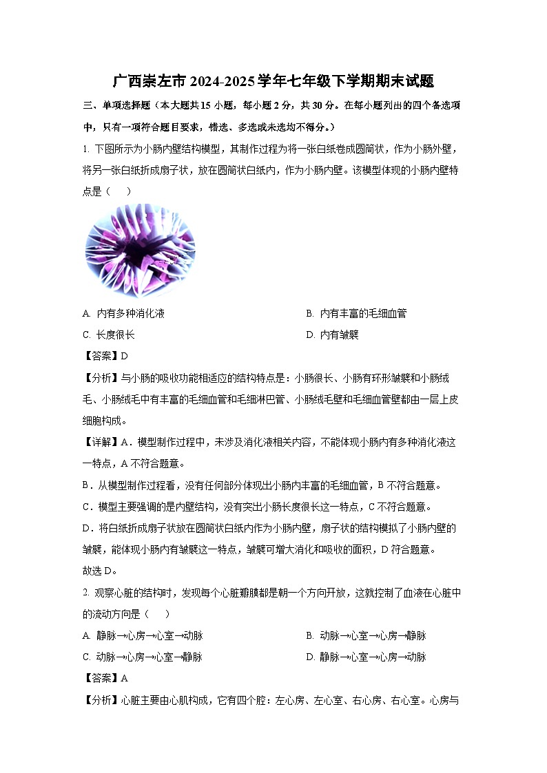 广西崇左市2024-2025学年七年级下学期期末生物试卷（解析版）第1页