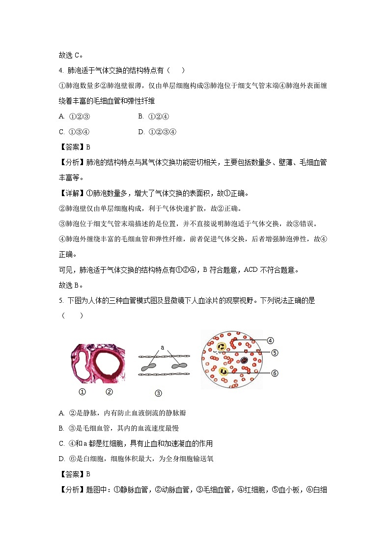 广西崇左市2024-2025学年七年级下学期期末生物试卷（解析版）第3页