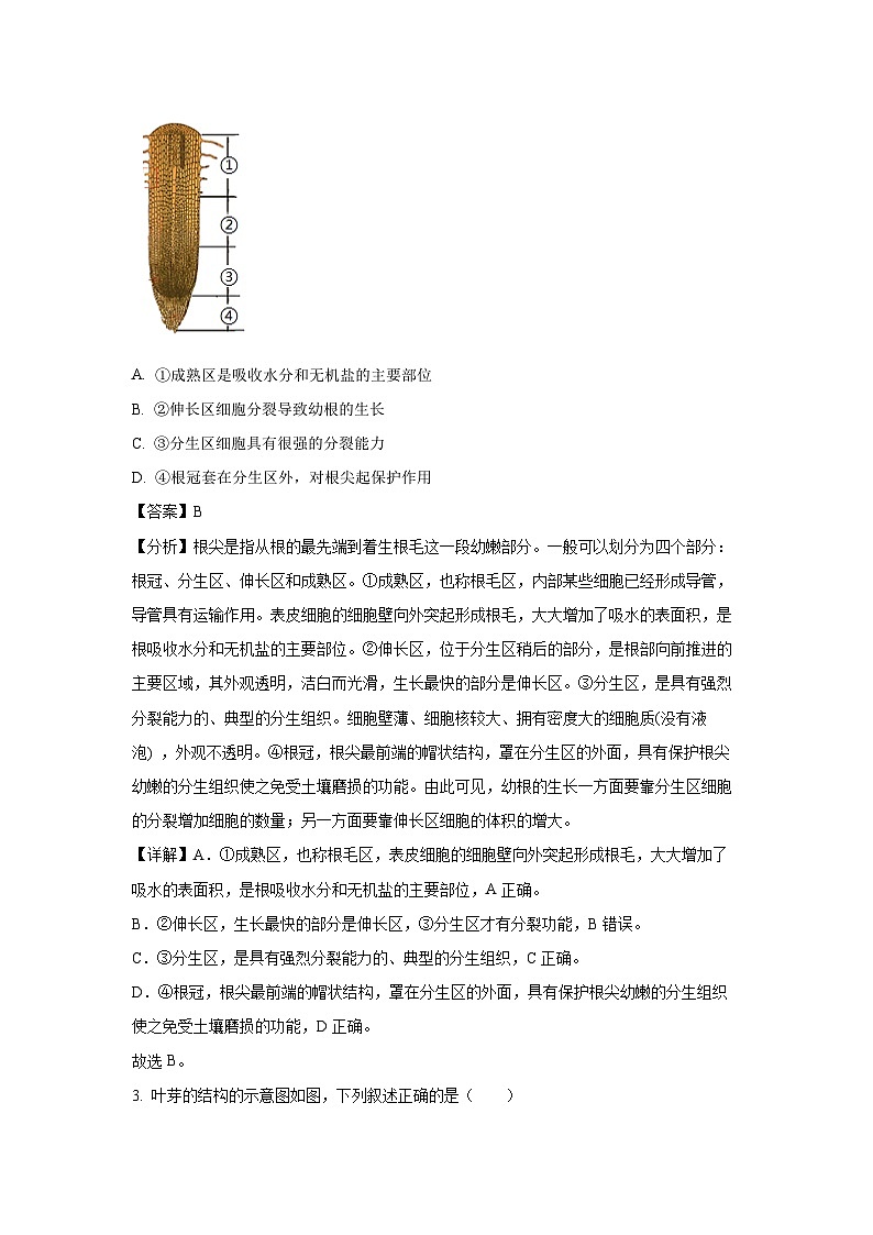 广东省汕头市金平区2024-2025学年七年级下学期期末生物试卷（解析版）第2页