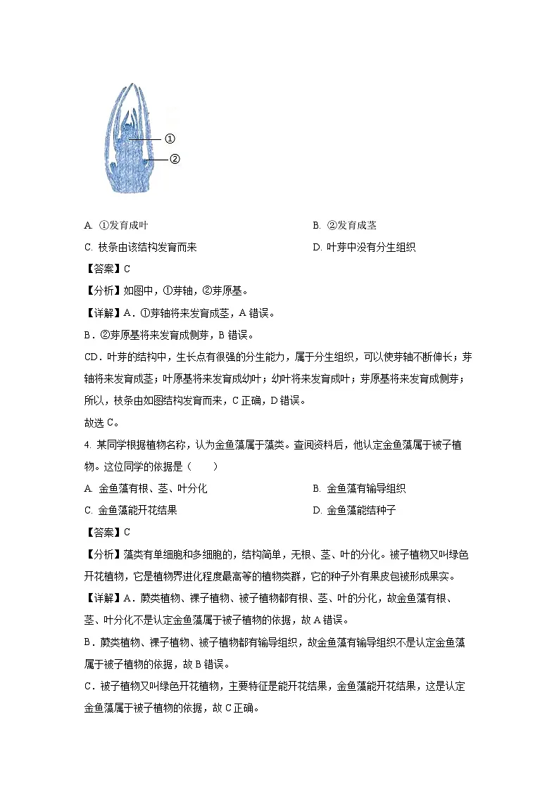 广东省汕头市金平区2024-2025学年七年级下学期期末生物试卷（解析版）第3页