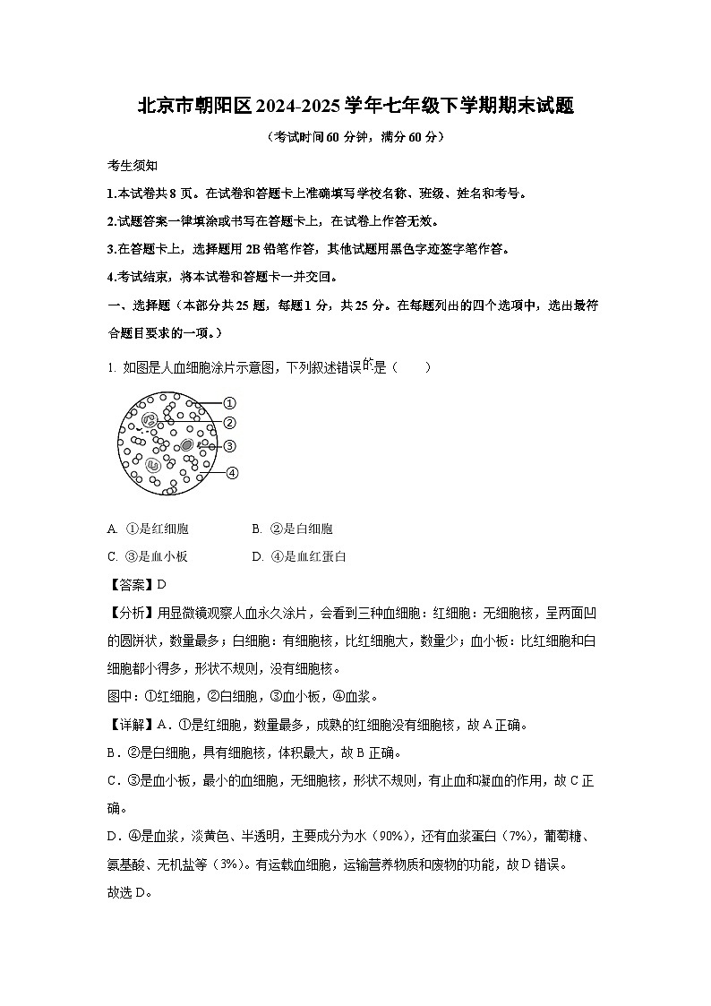 北京市朝阳区2024-2025学年七年级下学期期末生物试卷（解析版）第1页