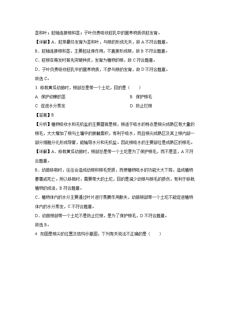 河南省信阳市息县2024-2025学年七年级下学期期中生物试卷（解析版）第2页