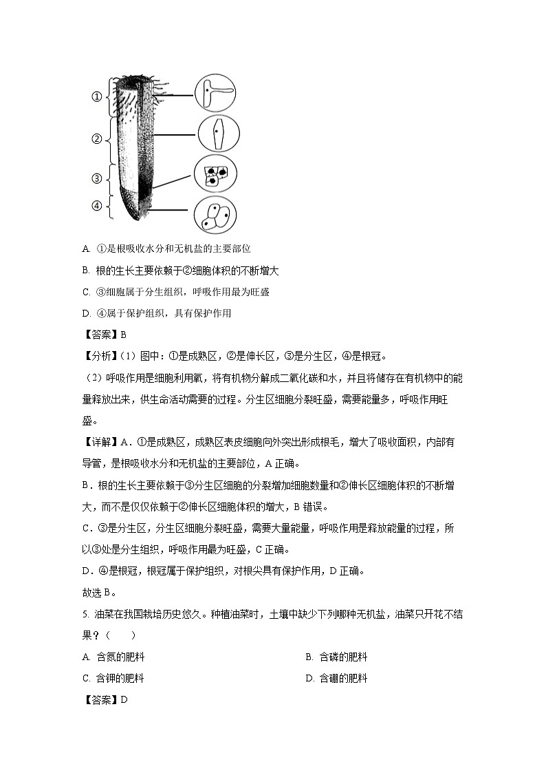 河南省信阳市息县2024-2025学年七年级下学期期中生物试卷（解析版）第3页