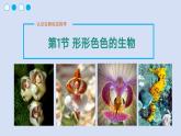1.1.1形形色色的生物课件-北师大版生物七年级上册