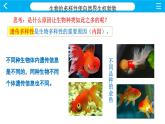 1.1.1形形色色的生物课件-北师大版生物七年级上册