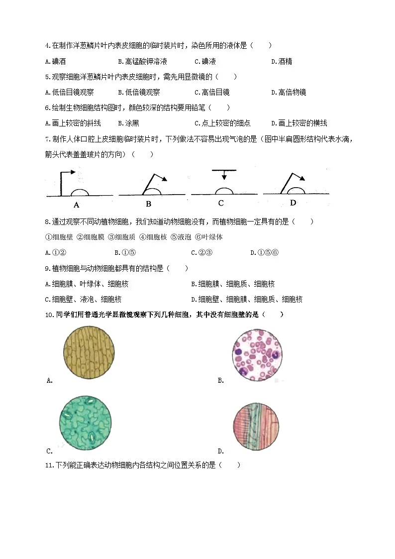 【导学案】冀少版七上1.1.3细胞的结构第3页
