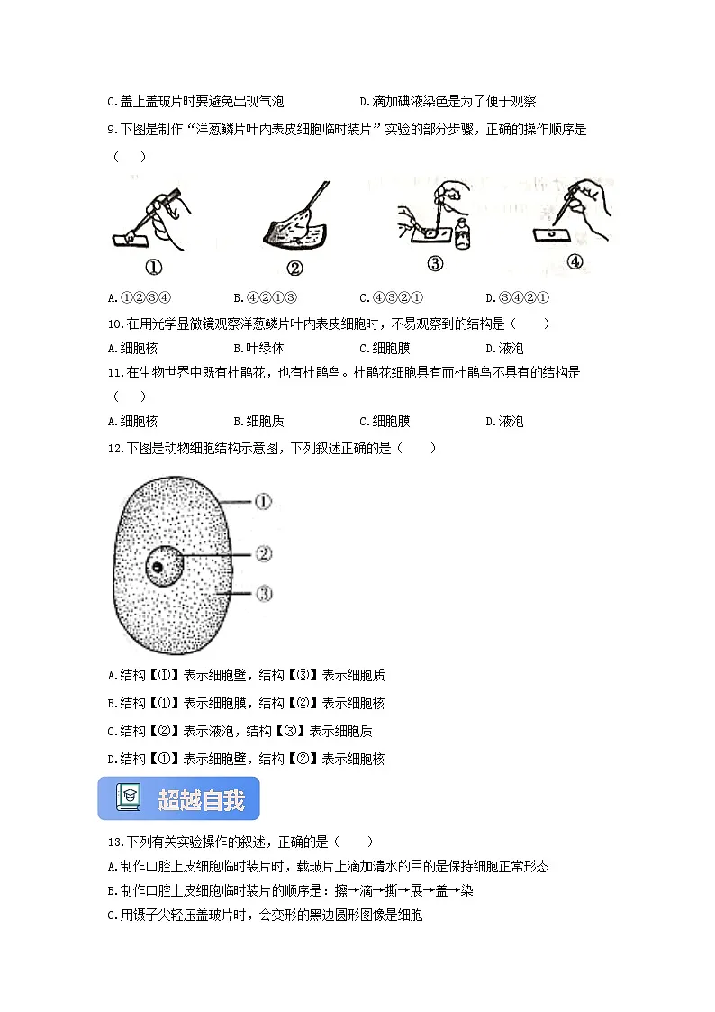 【核心素养】冀少版七上《细胞的结构》分层练习第2页