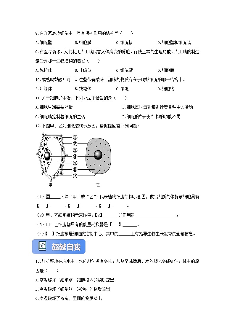 【核心素养】冀少版七上《细胞的生命活动》分层练习第2页