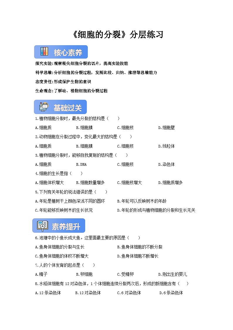 【核心素养】冀少版七上《细胞的分裂》分层练习第1页