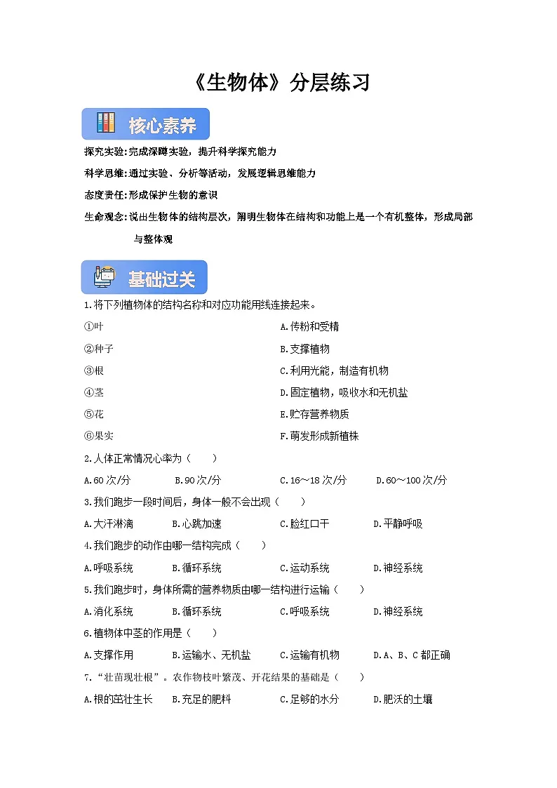 【核心素养】冀少版七上《生物体》分层练习第1页