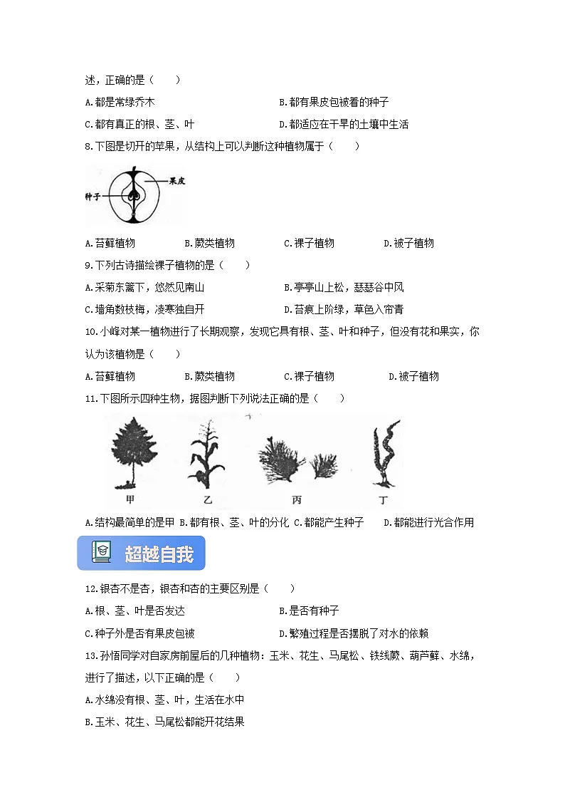 【核心素养】冀少版七上《植物》分层练习（2）第2页