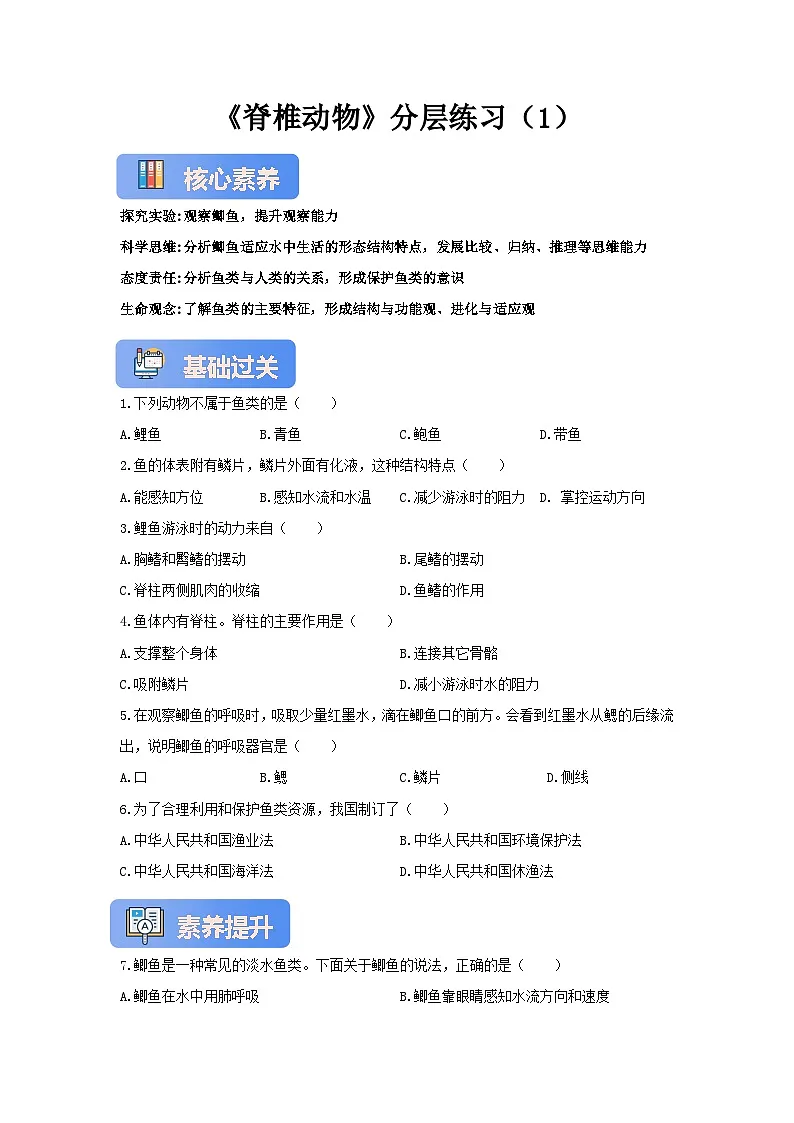 【核心素养】冀少版七上《脊椎动物》分层练习（1）第1页