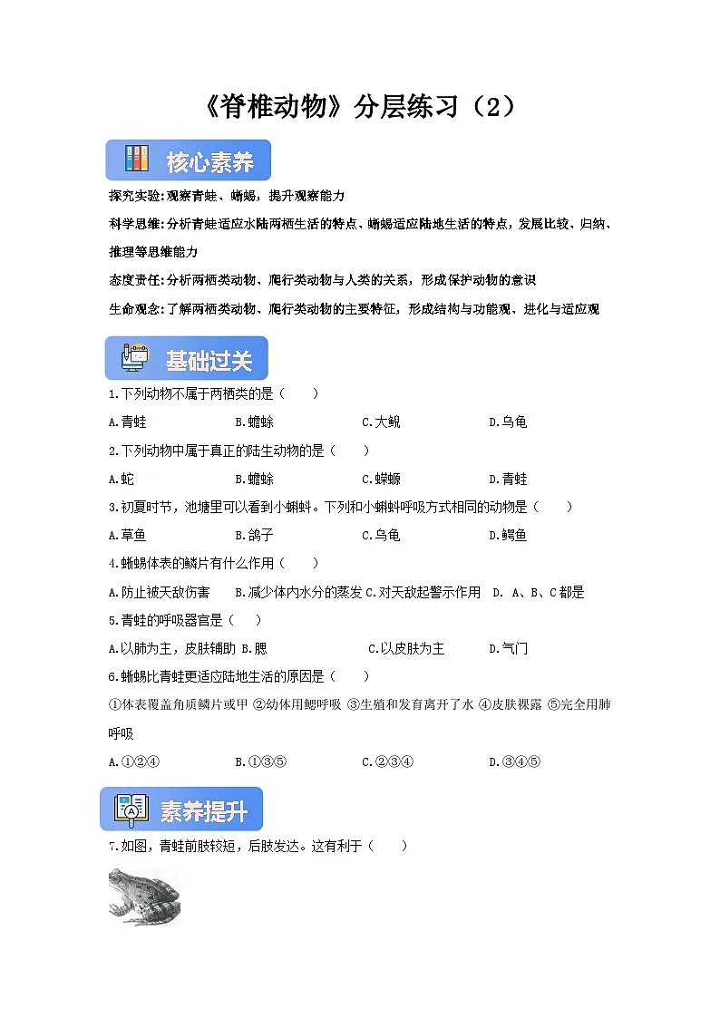 【核心素养】冀少版七上《脊椎动物》分层练习（2）第1页
