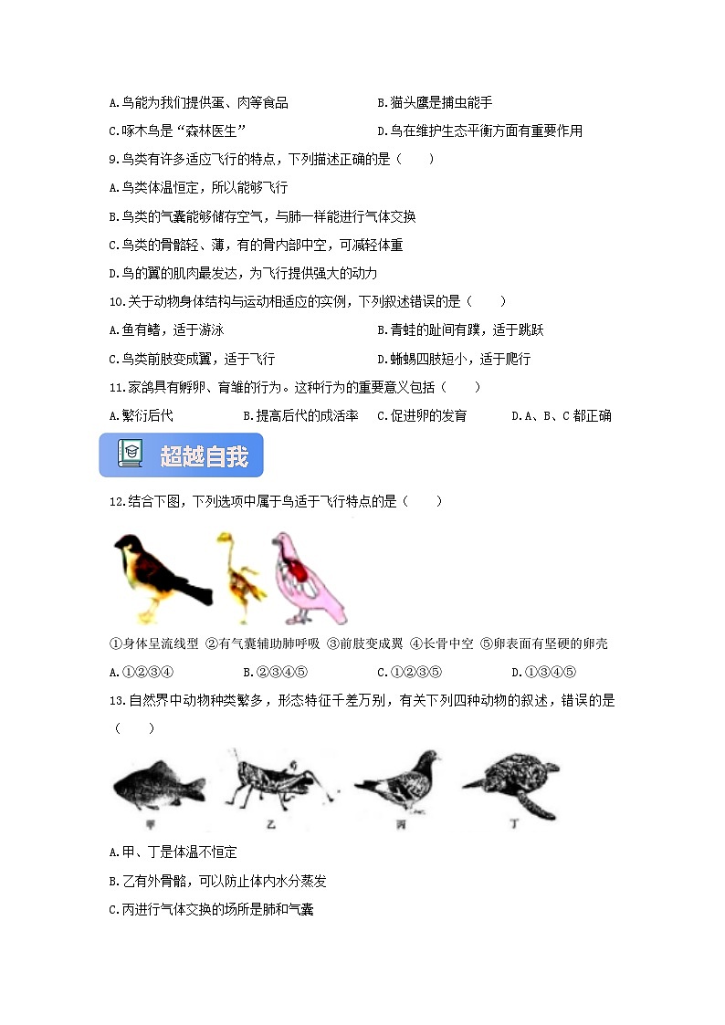 【核心素养】冀少版七上《脊椎动物》分层练习（3）第2页