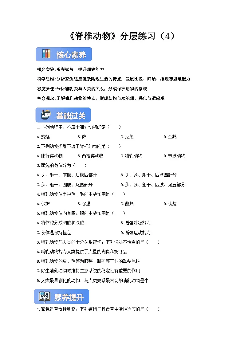 【核心素养】冀少版七上《脊椎动物》分层练习（4）第1页