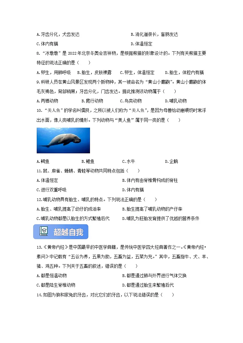 【核心素养】冀少版七上《脊椎动物》分层练习（4）第2页