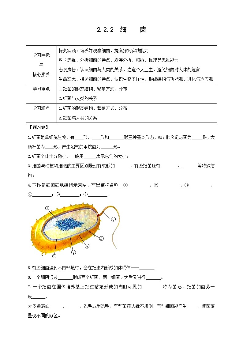 【导学案】冀少版七上2.2.2细菌第1页