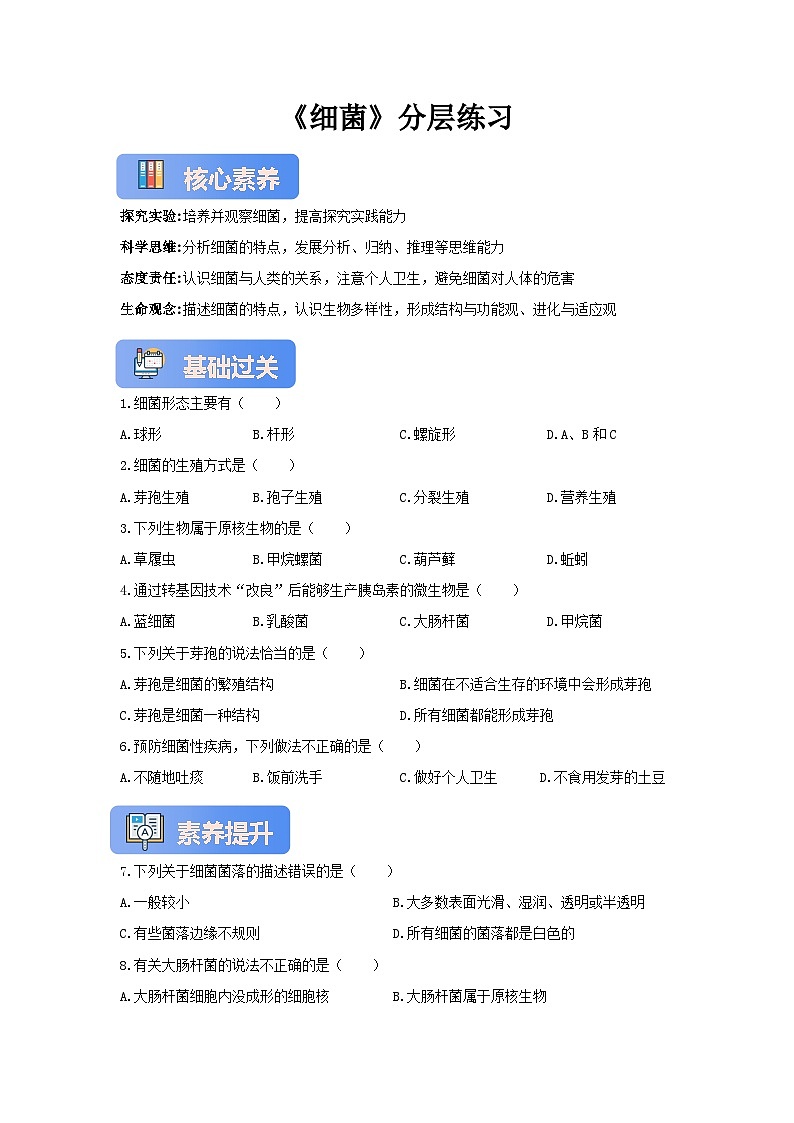 【核心素养】冀少版七上《细菌》分层练习第1页