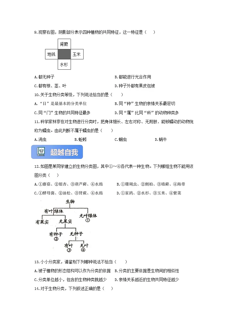 【核心素养】冀少版七上《生物的分类》分层练习第2页