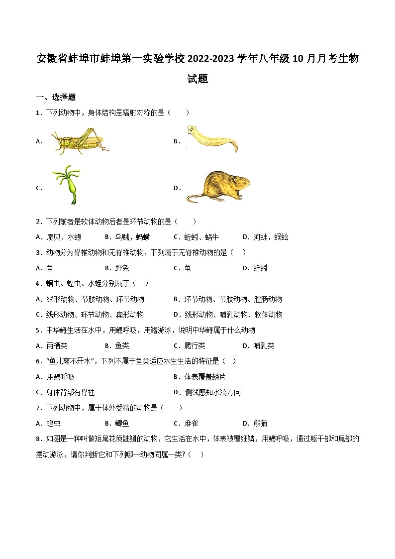 【8生（人）第一次月考】蚌埠市蚌埠第一实验学校2022-2023学年八年级10月月考生物试题第1页
