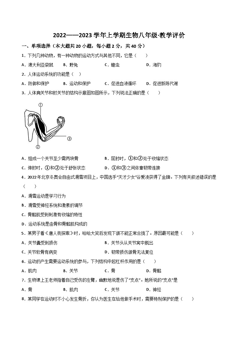 【8生（人）第一次月考】淮北市五校联考2022-2023学年八年级上第一次月考生物试题第1页
