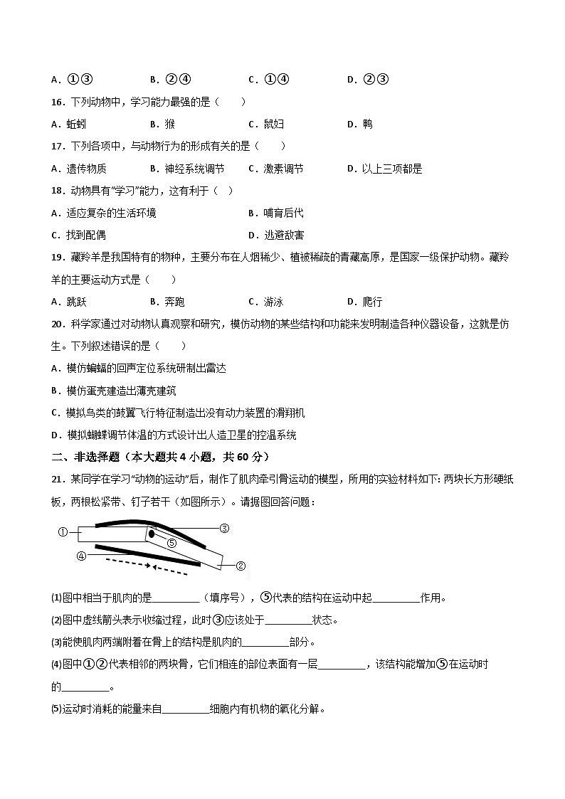 【8生（人）第一次月考】淮北市五校联考2022-2023学年八年级上第一次月考生物试题第3页