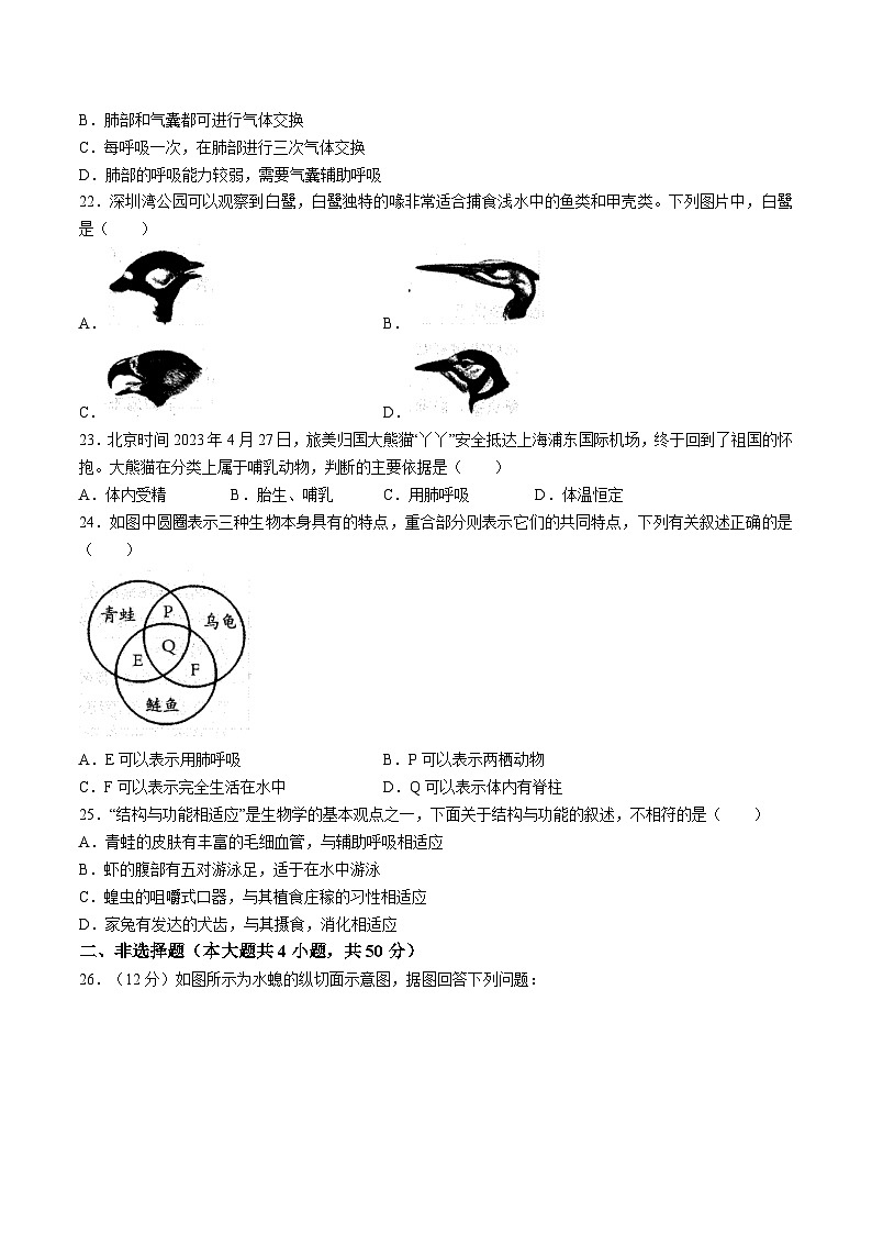 【8生（人）第一次月考】六安市霍邱县2023-2024学年八年级10月月考生物试题第3页