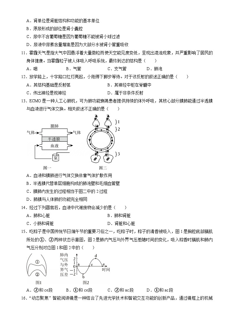 2025北京石景山初一（下）期末生物试卷（含答案）第3页