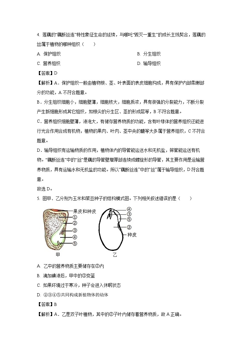 【生物】2025年湖南省衡阳市八年级中考二模试题（解析版）第3页