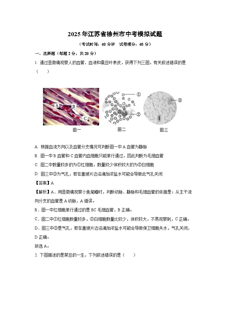 【生物】2025年江苏省徐州市中考模拟试题（解析版）第1页