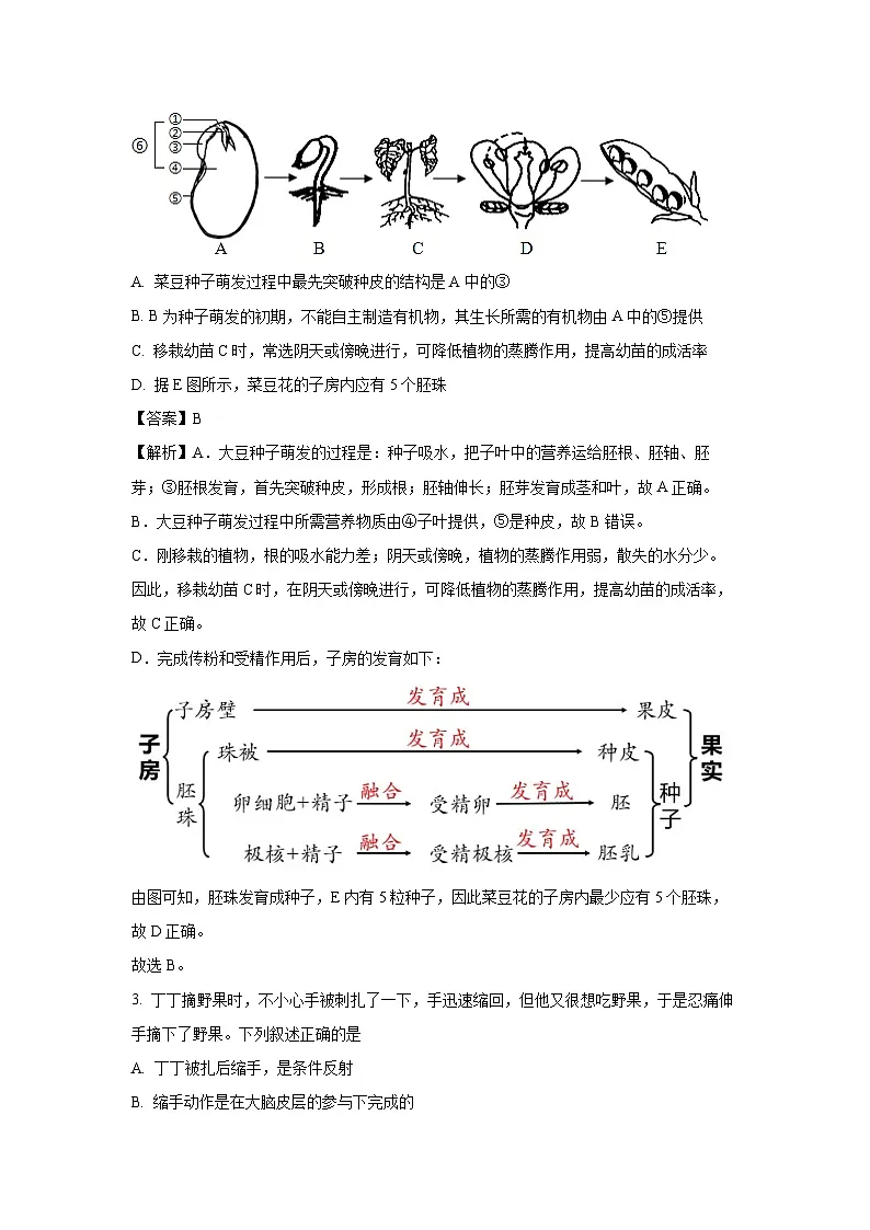 【生物】2025年江苏省徐州市中考模拟试题（解析版）第2页