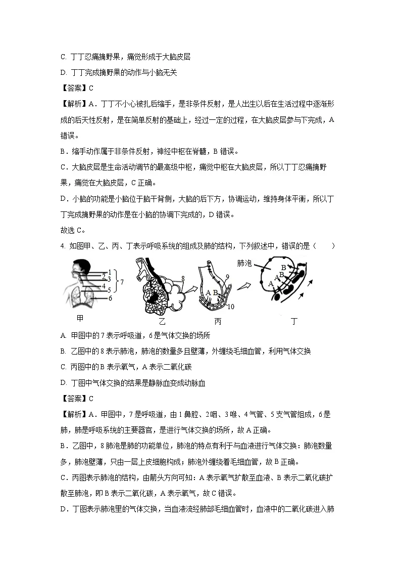 【生物】2025年江苏省徐州市中考模拟试题（解析版）第3页