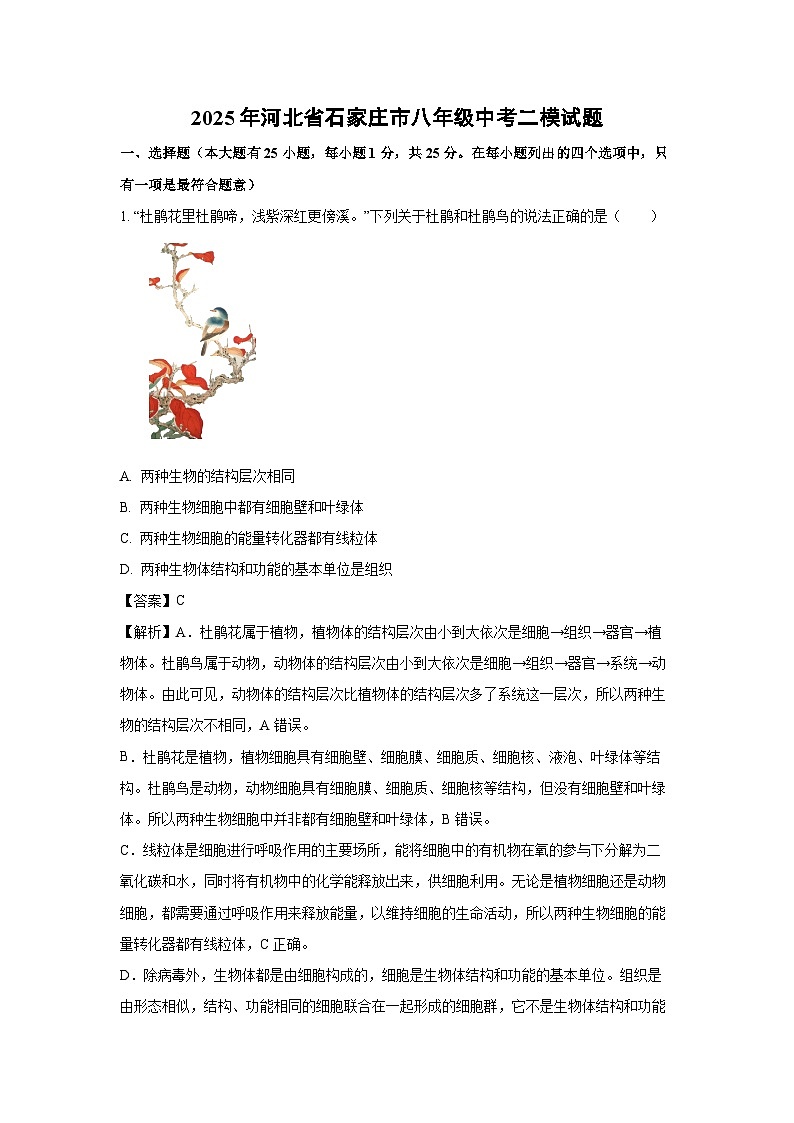 【生物】2025年河北省石家庄市八年级中考二模试题（解析版）第1页