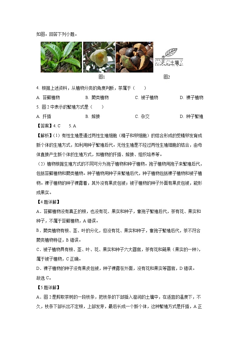 【生物】2025年湖北省大冶市城区四校八年级中考二模试题（解析版）第3页