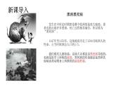 4.7.1傳染病及其預(yù)防（課件）2025-2026學(xué)年人教版八年級(jí)生物上冊(cè)