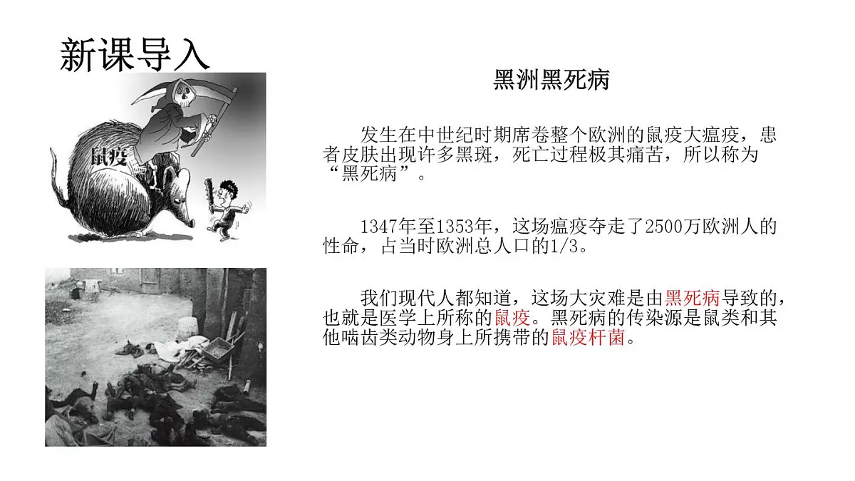 4.7.1传染病及其预防（课件）2025-2026学年人教版八年级生物上册第2页