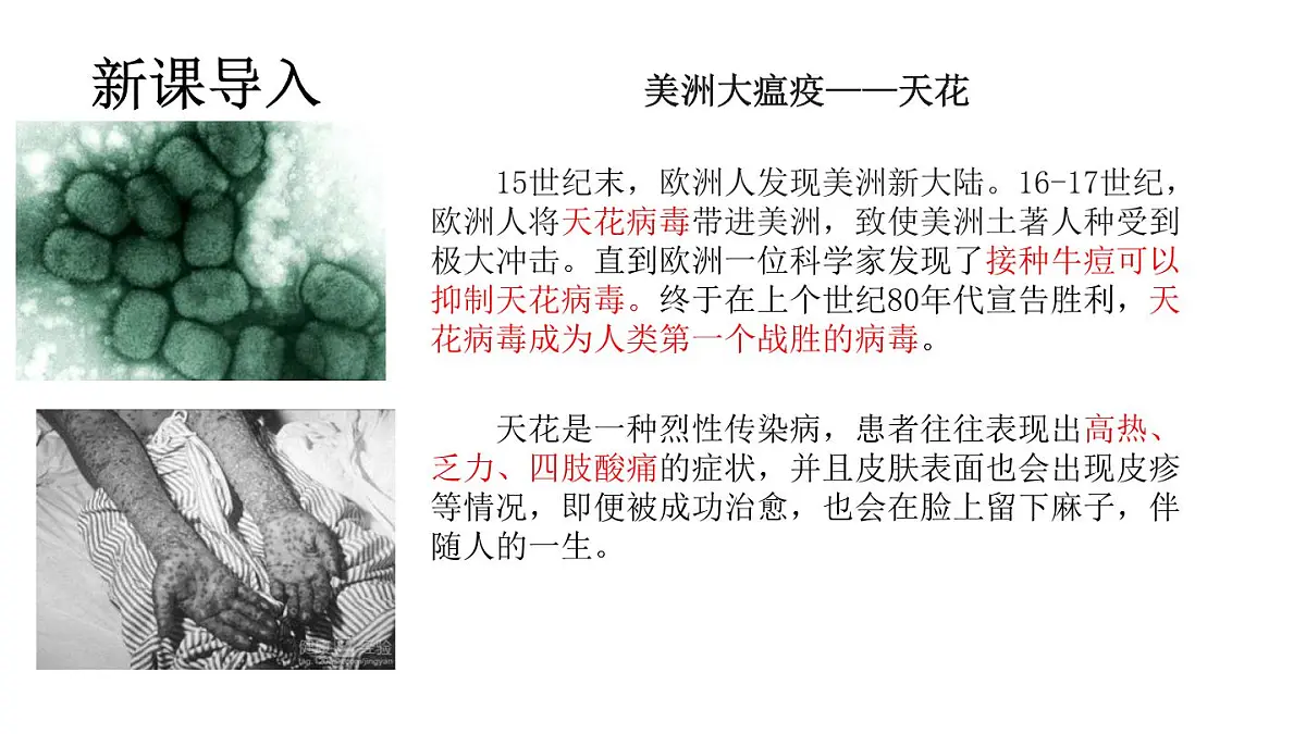 4.7.1传染病及其预防（课件）2025-2026学年人教版八年级生物上册第3页
