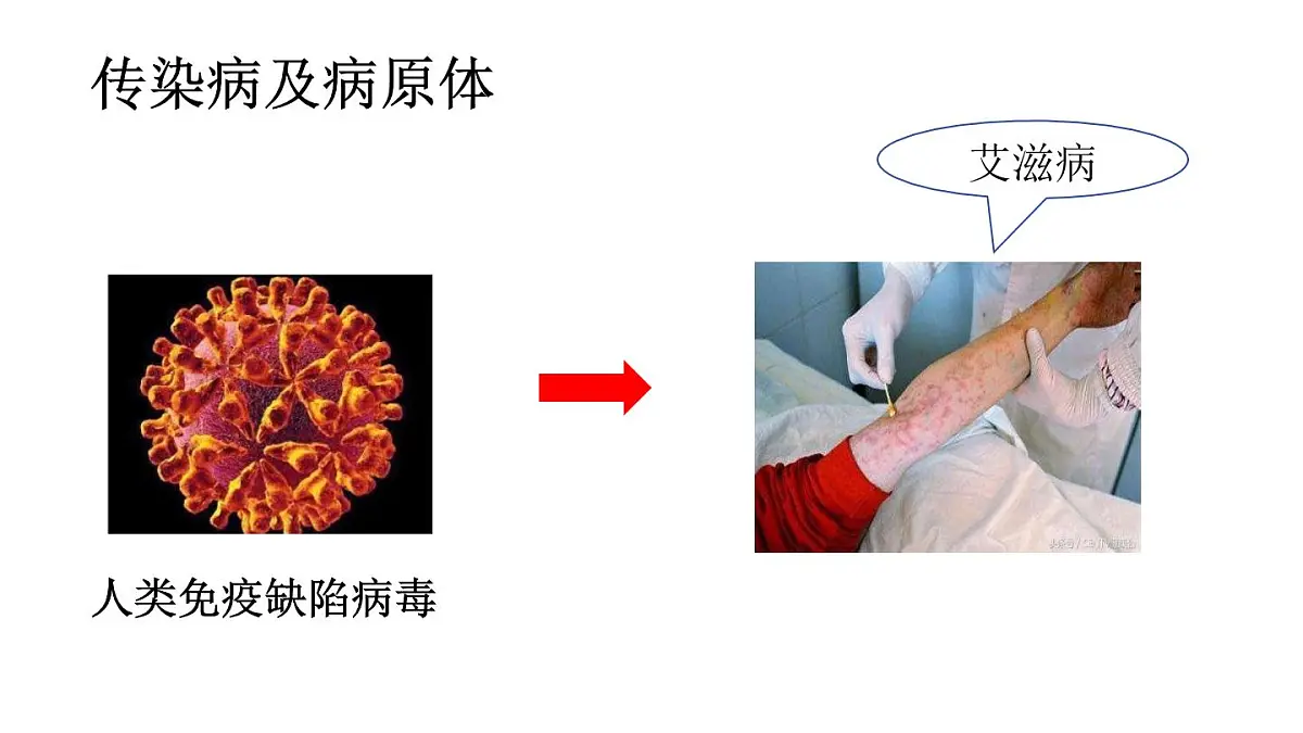 4.7.1传染病及其预防（课件）2025-2026学年人教版八年级生物上册第6页