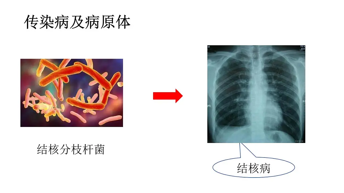 4.7.1传染病及其预防（课件）2025-2026学年人教版八年级生物上册第7页