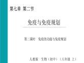 4.7.2免疫與免疫規(guī)劃第２課時(shí)（課件）2025-2026學(xué)年人教版八年級(jí)生物上冊(cè)