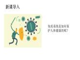 4.7.2免疫與免疫規(guī)劃第２課時(shí)（課件）2025-2026學(xué)年人教版八年級(jí)生物上冊(cè)