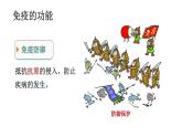 4.7.2免疫與免疫規(guī)劃第２課時(shí)（課件）2025-2026學(xué)年人教版八年級(jí)生物上冊(cè)