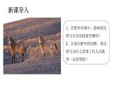 5.1.1生物與環(huán)境的相互作用（課件）2025-2026學(xué)年人教版八年級生物上冊